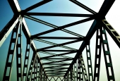 IIP Online Student Photography